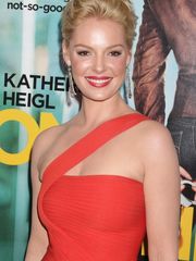 Porno Pic From Katherine Heigl Hook-up..